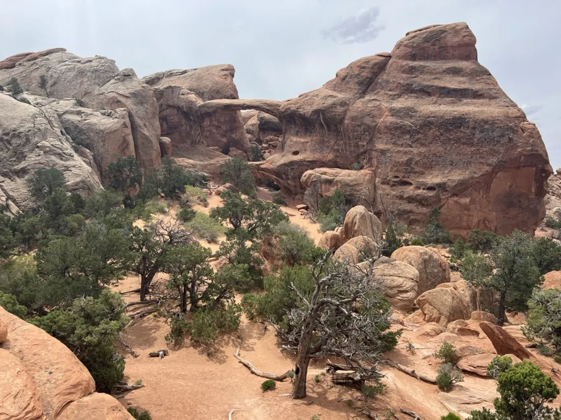 Red rock and junipers along the primitive loop near Double O Arch