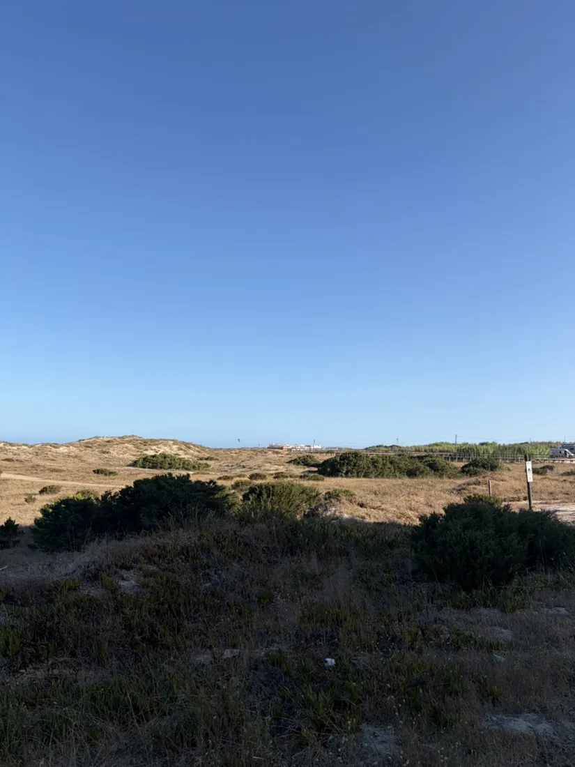 Niedrige Dünen und Strandbewuchs am Küstenpfad nördlich von Peniche, am Horizont die weißen Häuser von Baleal