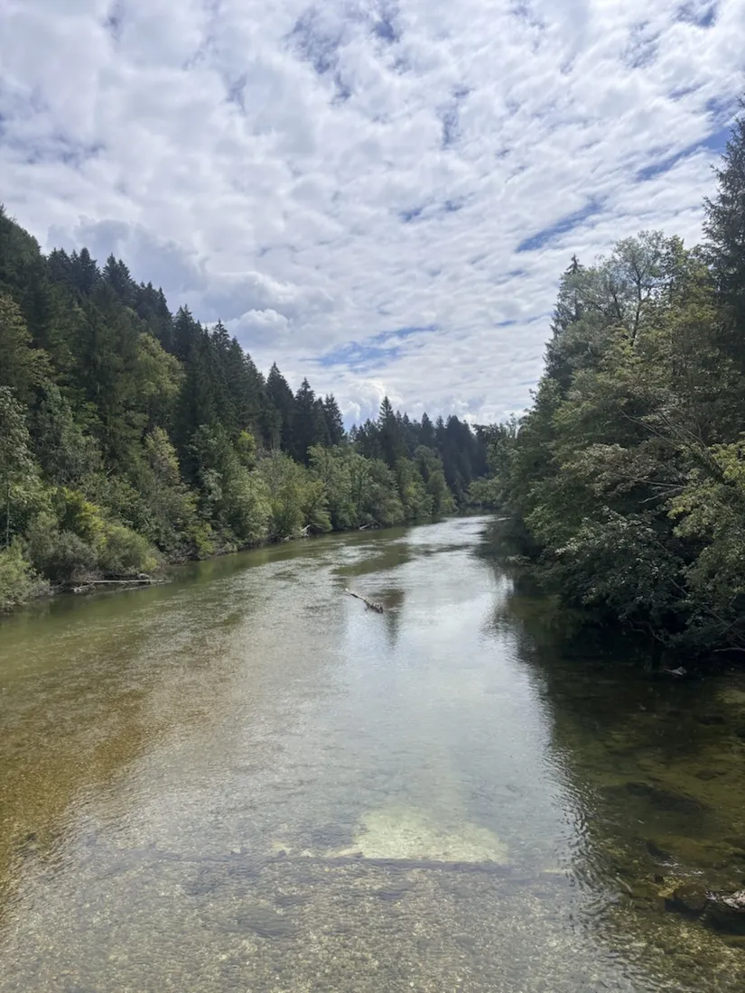 The clear green Sava Bohinjka from the Bodeški most — one of the two rivers that meet nearby to form the Sava