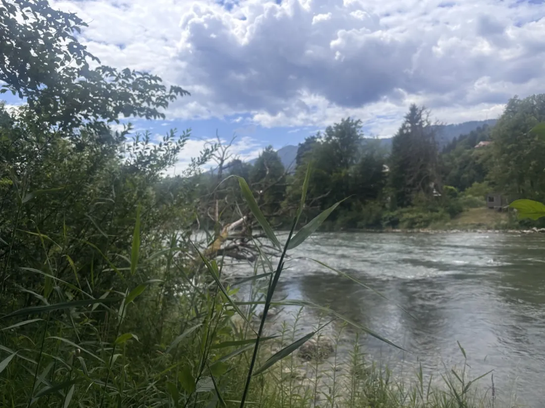 The young Sava flowing past Lancovo just below the confluence, reed banks in front and the wooded Jelovica slopes behind