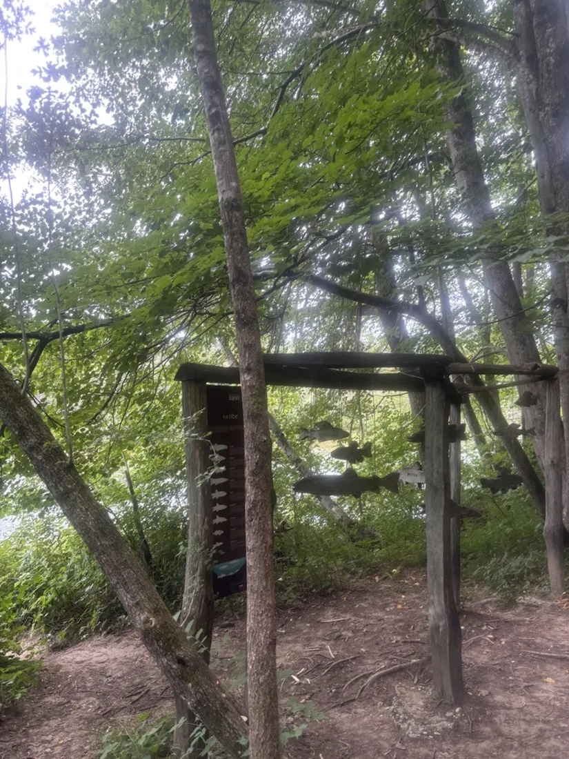 A riverside “Savske ribe” nature panel hung with metal fish cut-outs — these are prized fly-fishing waters for marble trout and grayling