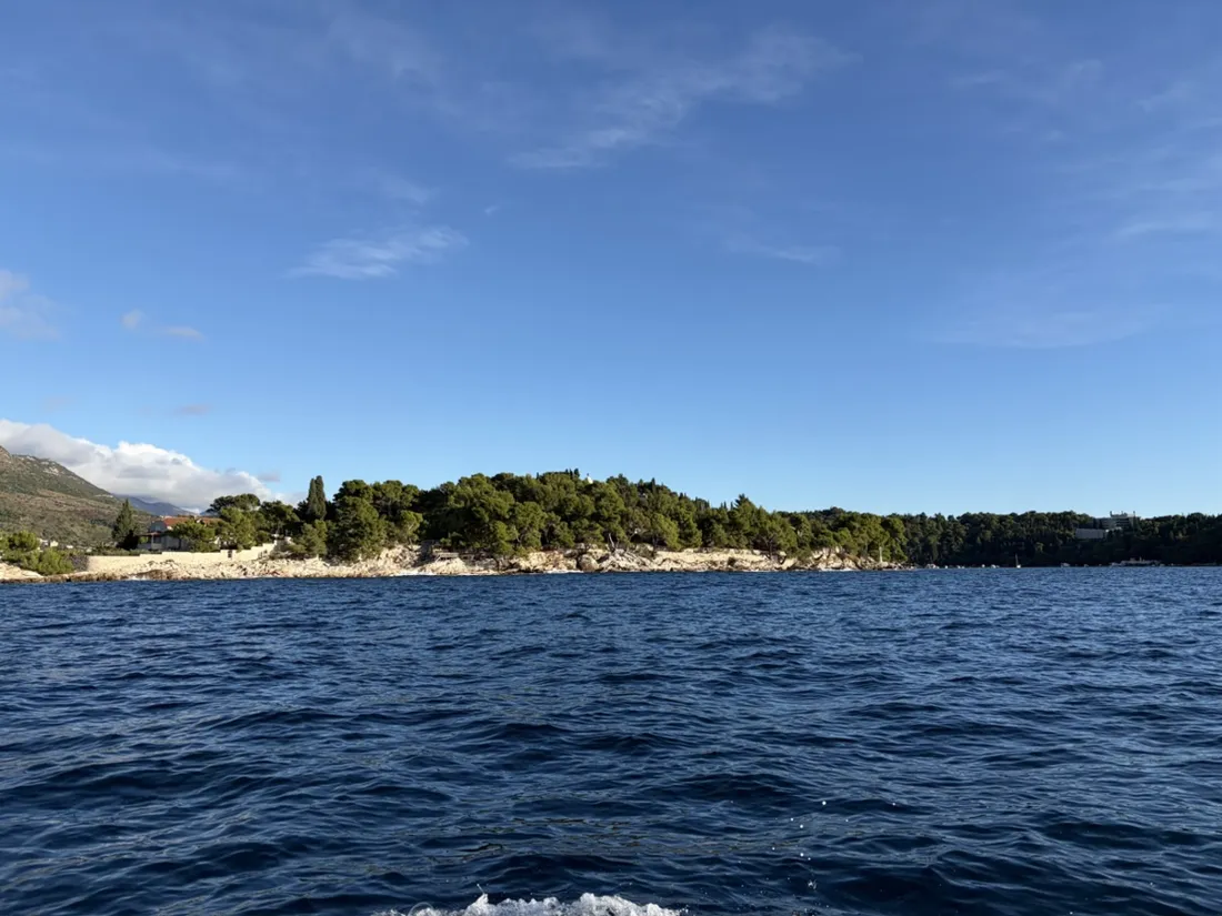 Wooded limestone shoreline seen from the water off Cavtat