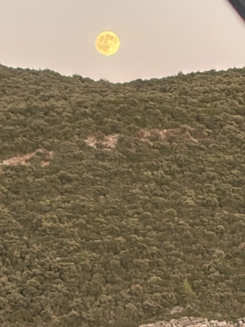 The moon above the scrub-covered coastal hillside