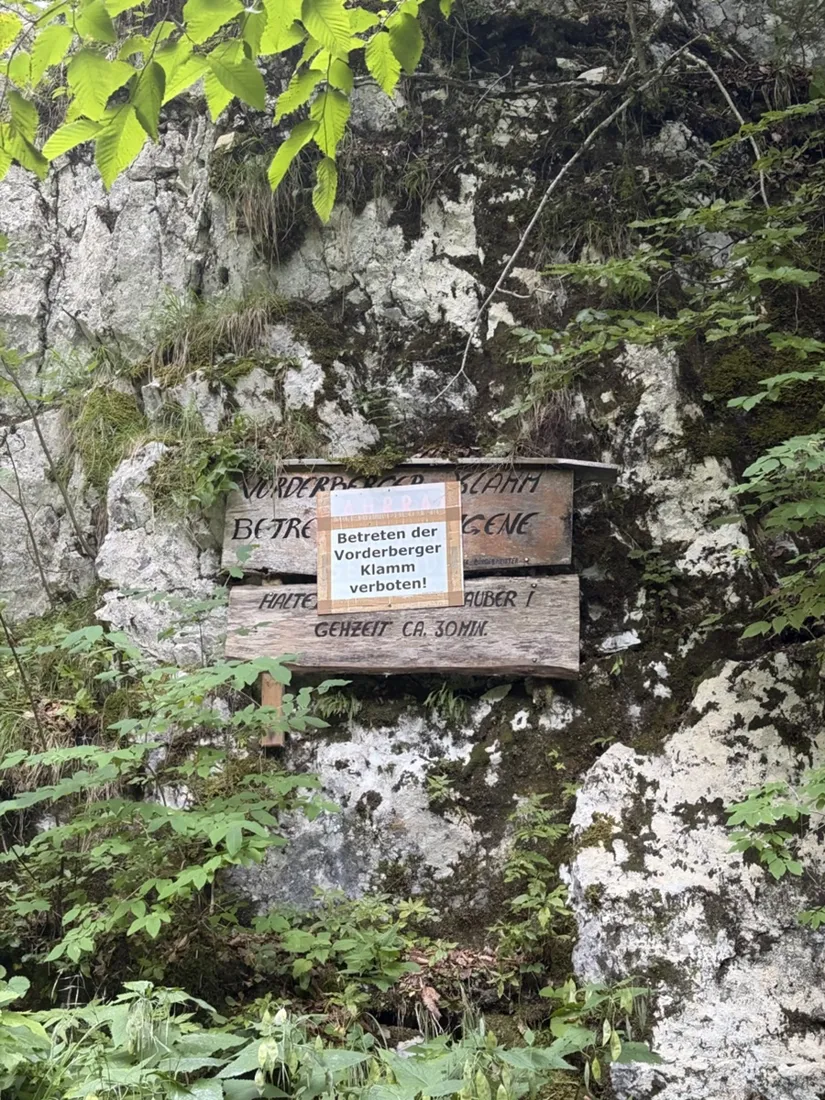 Ein Schild unterhalb von Vorderberg: Das Betreten der Vorderberger Klamm ist verboten. Diese aufgezeichnete Linie steigt weglos über die bewaldeten Hänge darüber hinauf.