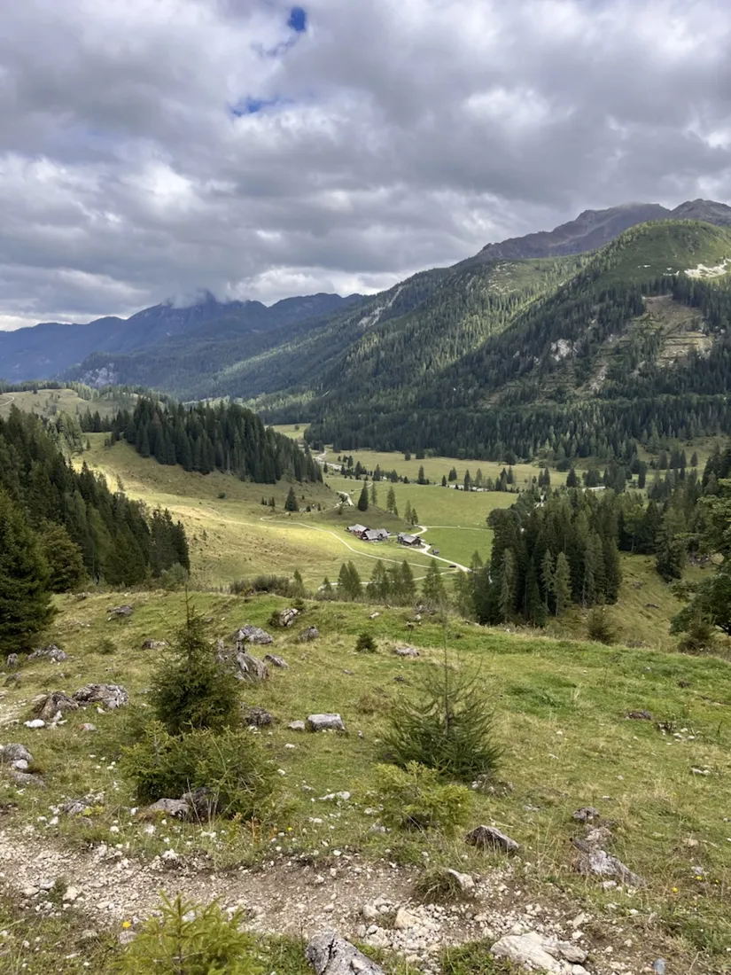 Climbing out of the valley at 1,469 m, larch and limestone ahead