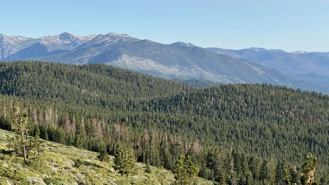 Sierra Nevada ridgelines rolling away from the Tahoe rim trail