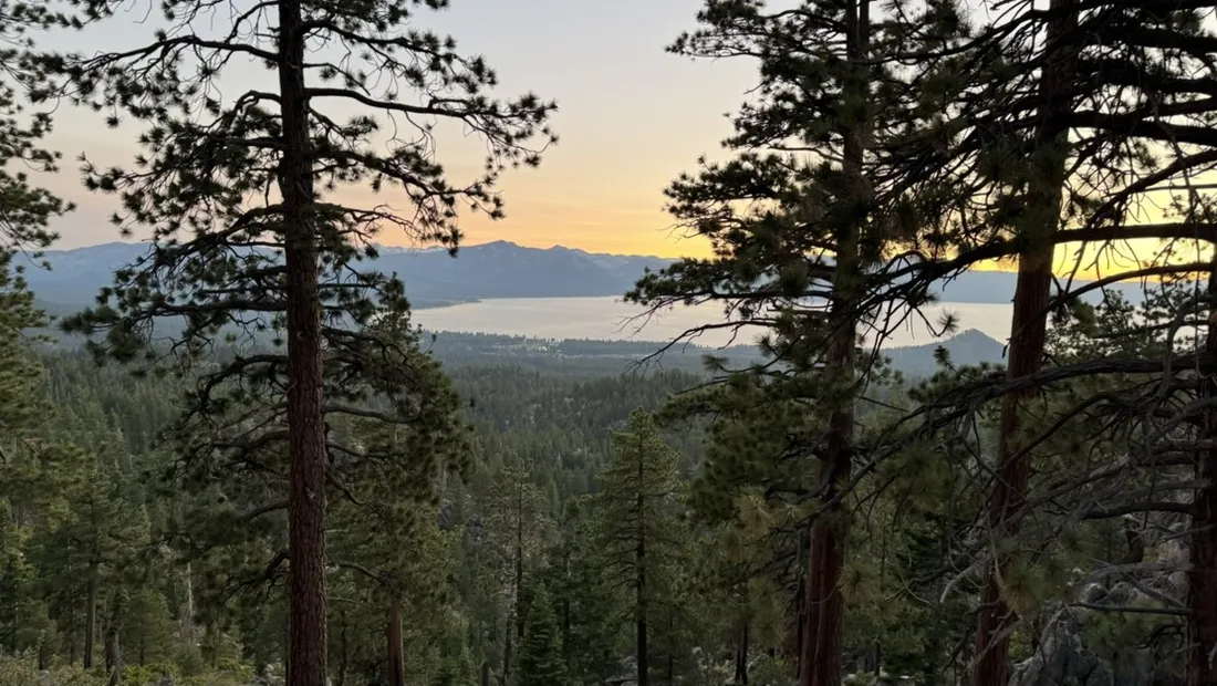 Dusk light over Lake Tahoe through the pines at the end of the ride