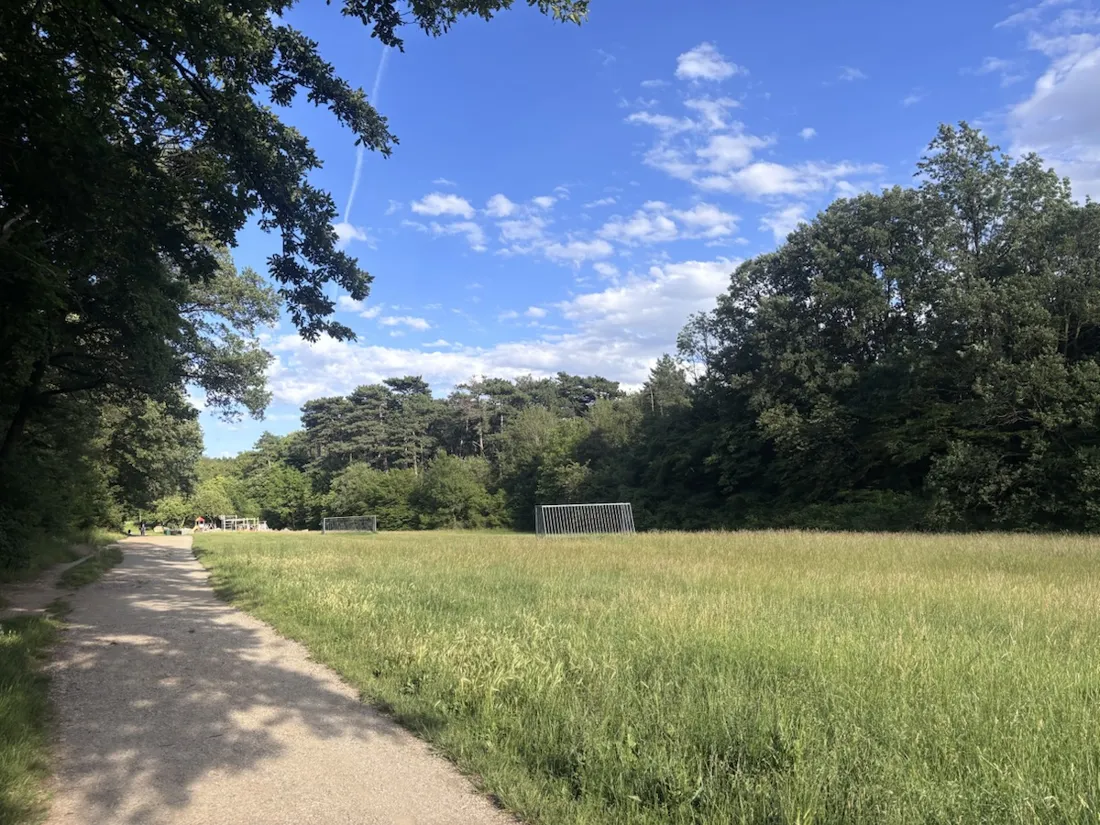 Eine Wiesenlichtung mit Fußballtor am Waldweg