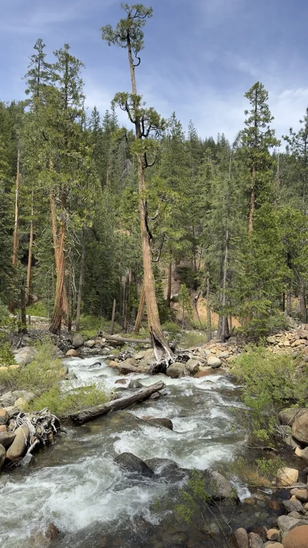 Mountain creek crossing the trail near Mount Shasta