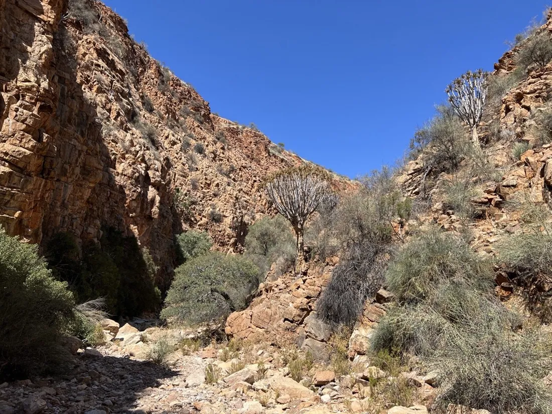 Narrow slot canyon section of the Olive Trail