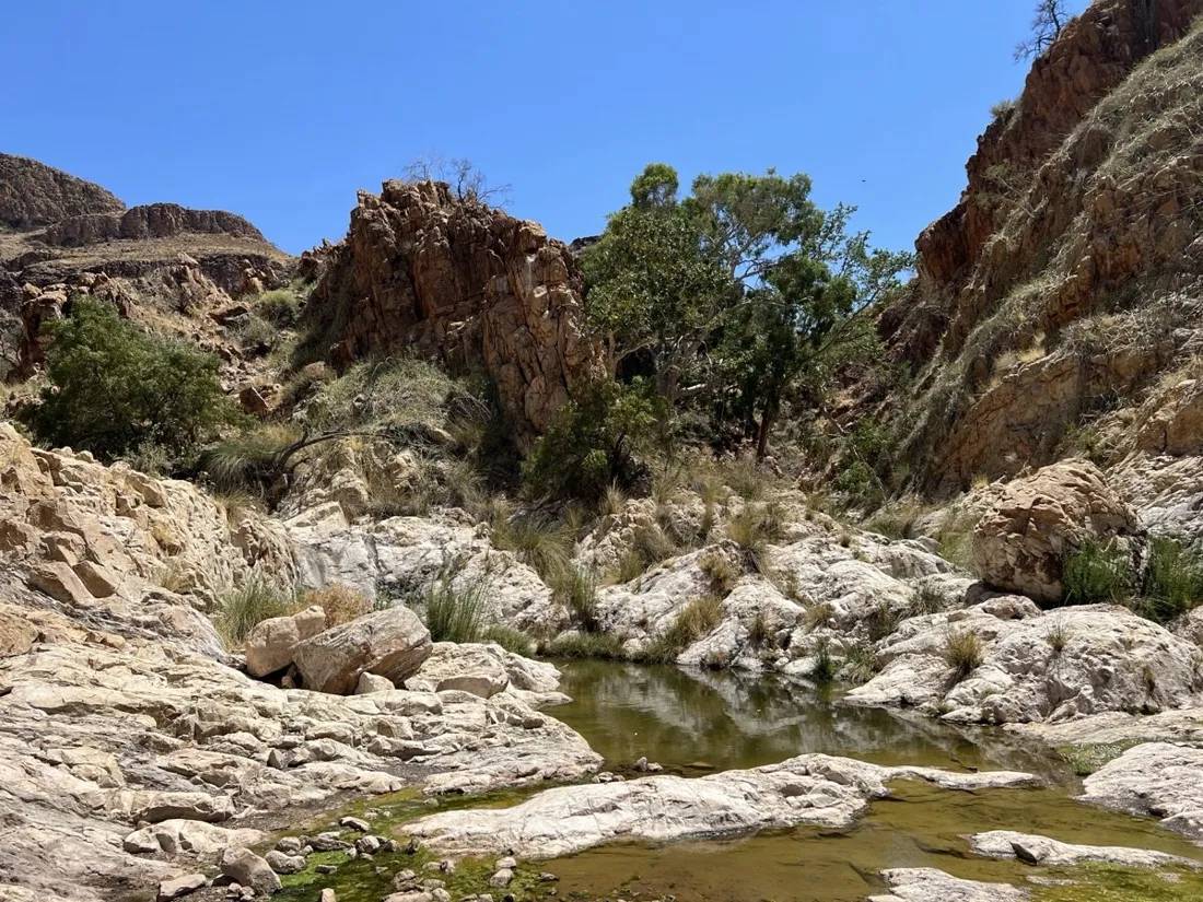 Green water pool hidden between the rock walls of the canyon