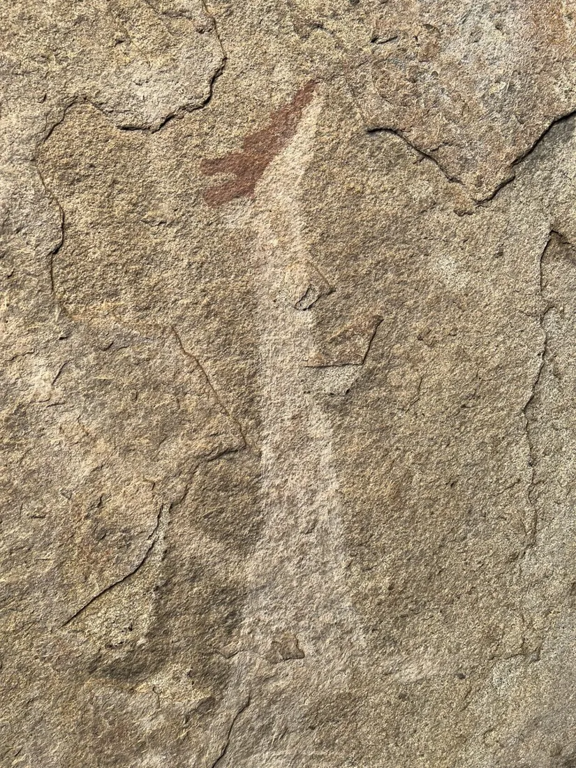 Ancient rock paintings on the granite wall of Phillips Cave