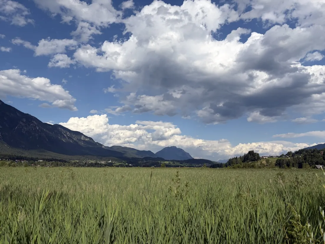 The reed belt around the Pressegger See is the second-largest in Austria, with stands of reed up to three meters tall