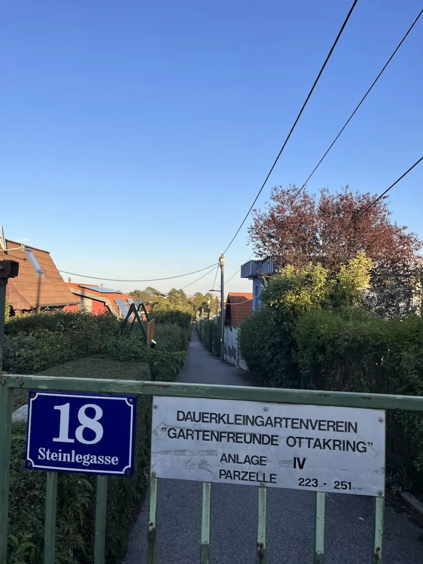 Allotment gardens on the Steinlegasse, ten minutes into the climb out of Penzing