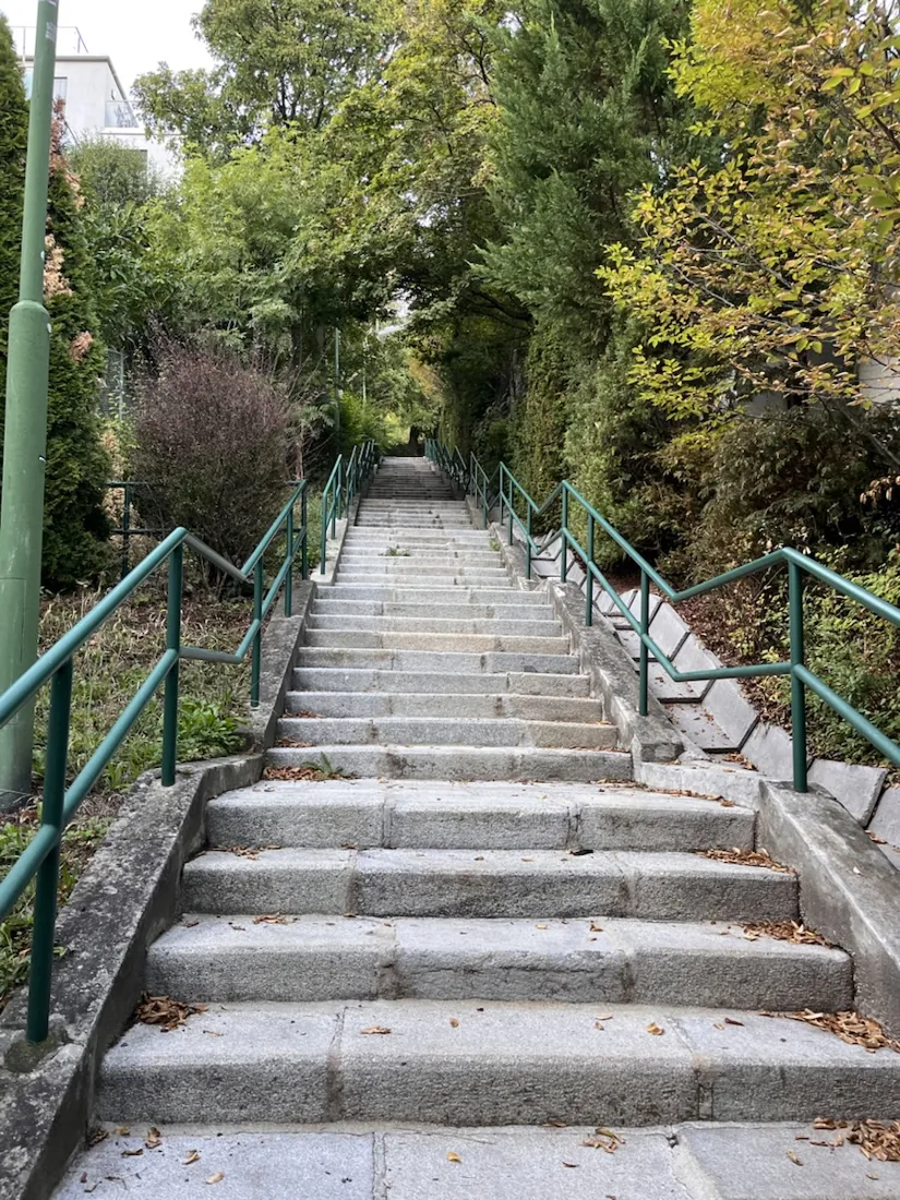 The Paulinensteig: 88 steps between garden hedges, the steepest thing on the whole route